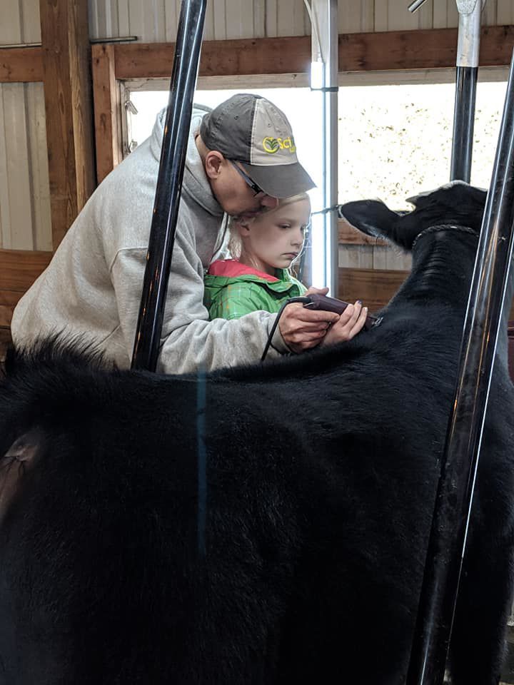 Cattle clipping clinic 2.jpg